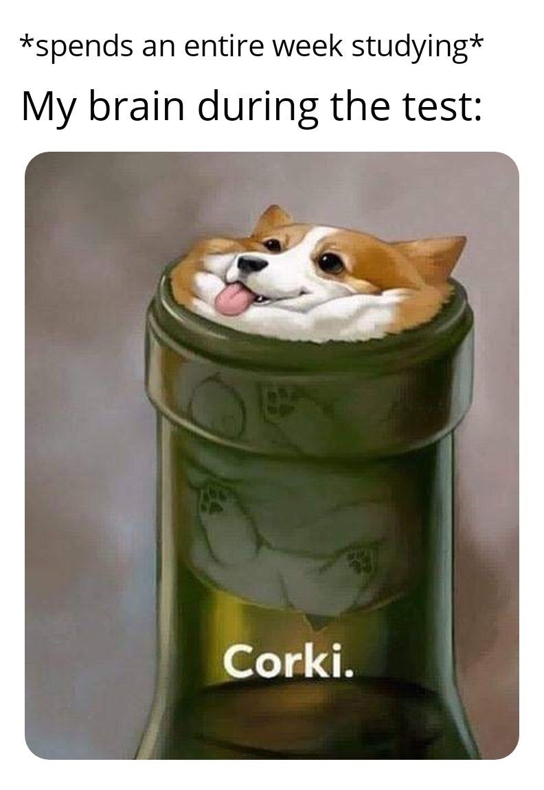 funny memes - dank memes - corki meme - spends an entire week studying My brain during the test Corki.