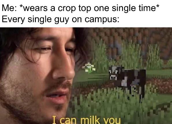 funny memes - dank memes - can milk you meme - Me wears a crop top one single time Every single guy on campus I can milk you