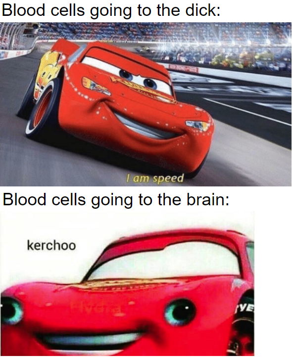 funny memes - dank memes - cars memes - Blood cells going to the dick I am speed Blood cells going to the brain kerchoo Ye