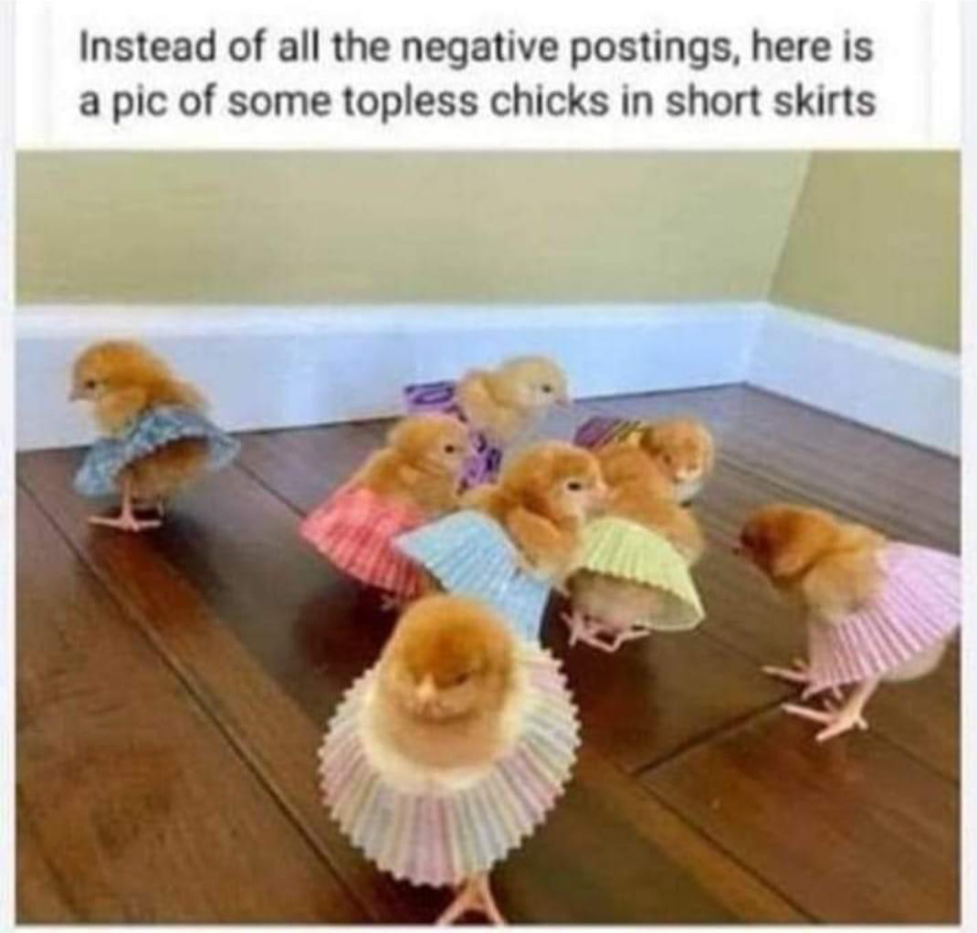 dank memes - topless chicks in skirts meme - Instead of all the negative postings, here is a pic of some topless chicks in short skirts