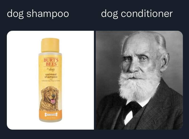 dank memes - funny memes - ivan pavlov - dog shampoo dog conditioner Burt'S Bees Fidog oatmeal shampoo