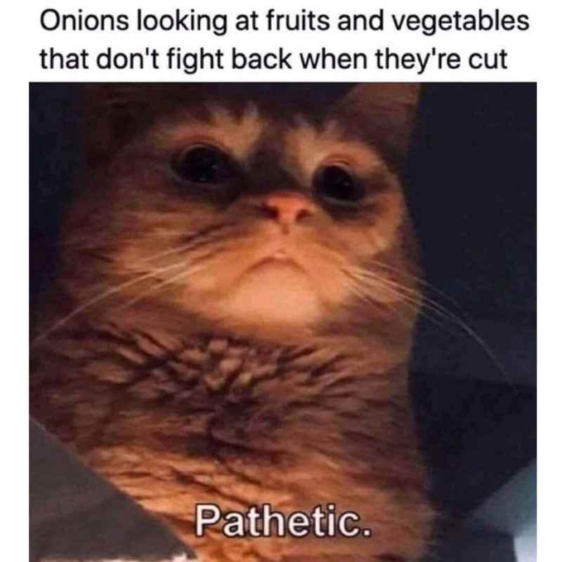 dank memes - funny memes - pathetic cat meme - Onions looking at fruits and vegetables that don't fight back when they're cut Pathetic.