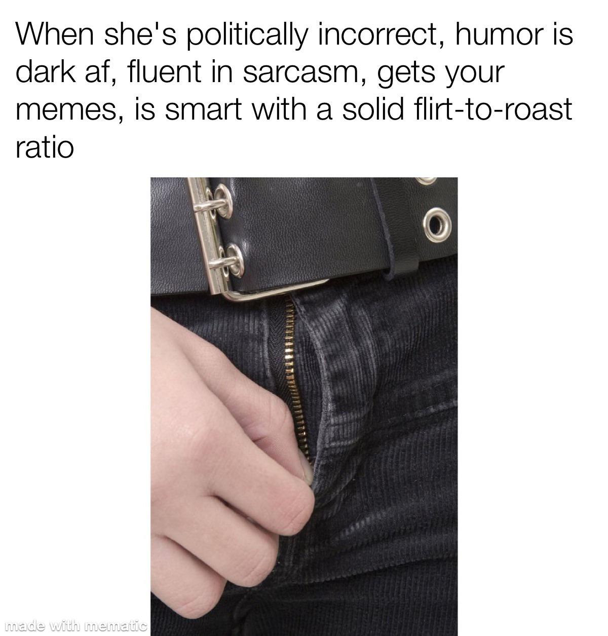 dank memes - zipper down pants - When she's politically incorrect, humor is dark af, fluent in sarcasm, gets your memes, is smart with a solid flirttoroast ratio made with mematic