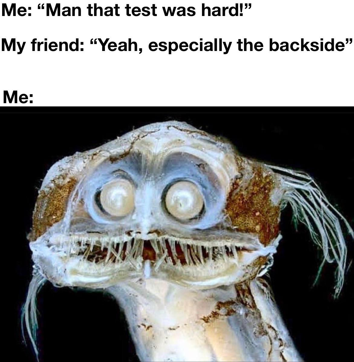 dank memes - telescope fish - Me Man that test was hard! My friend Yeah, especially the backside" Me