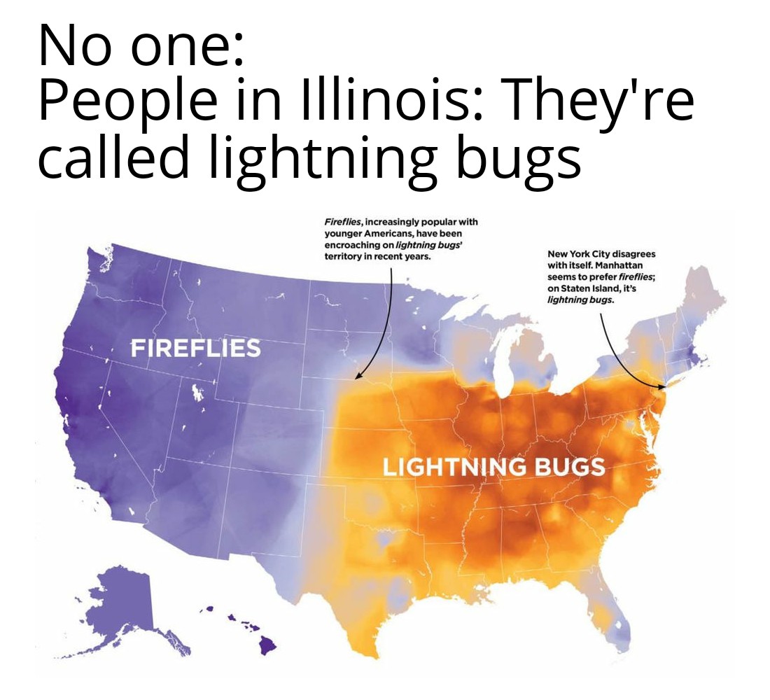 dank memes - lightning bugs or fireflies - No one People in Illinois They're called lightning bugs Fireflies, increasingly popular with younger Americans, have been encroaching on lightning bugs territory in recent years. New York City disagrees with itse