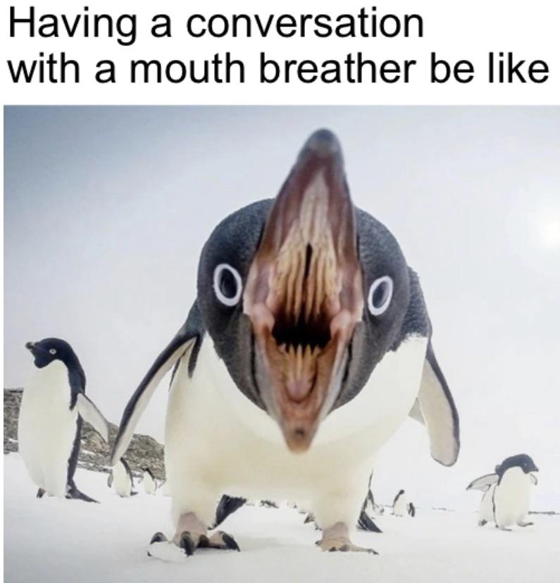 dank memes - funny memes - penguin mouth - Having a conversation with a mouth breather be Oso