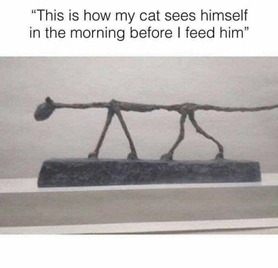 dank memes - funny memes - my cat sees himself in the morning - This is how my cat sees himself in the morning before I feed him"