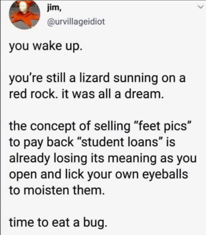 dank memes - funny memes - paper - jim, you wake up. you're still a lizard sunning on a red rock. it was all a dream. the concept of selling "feet pics to pay back student loans is already losing its meaning as you open and lick your own eyeballs to moist
