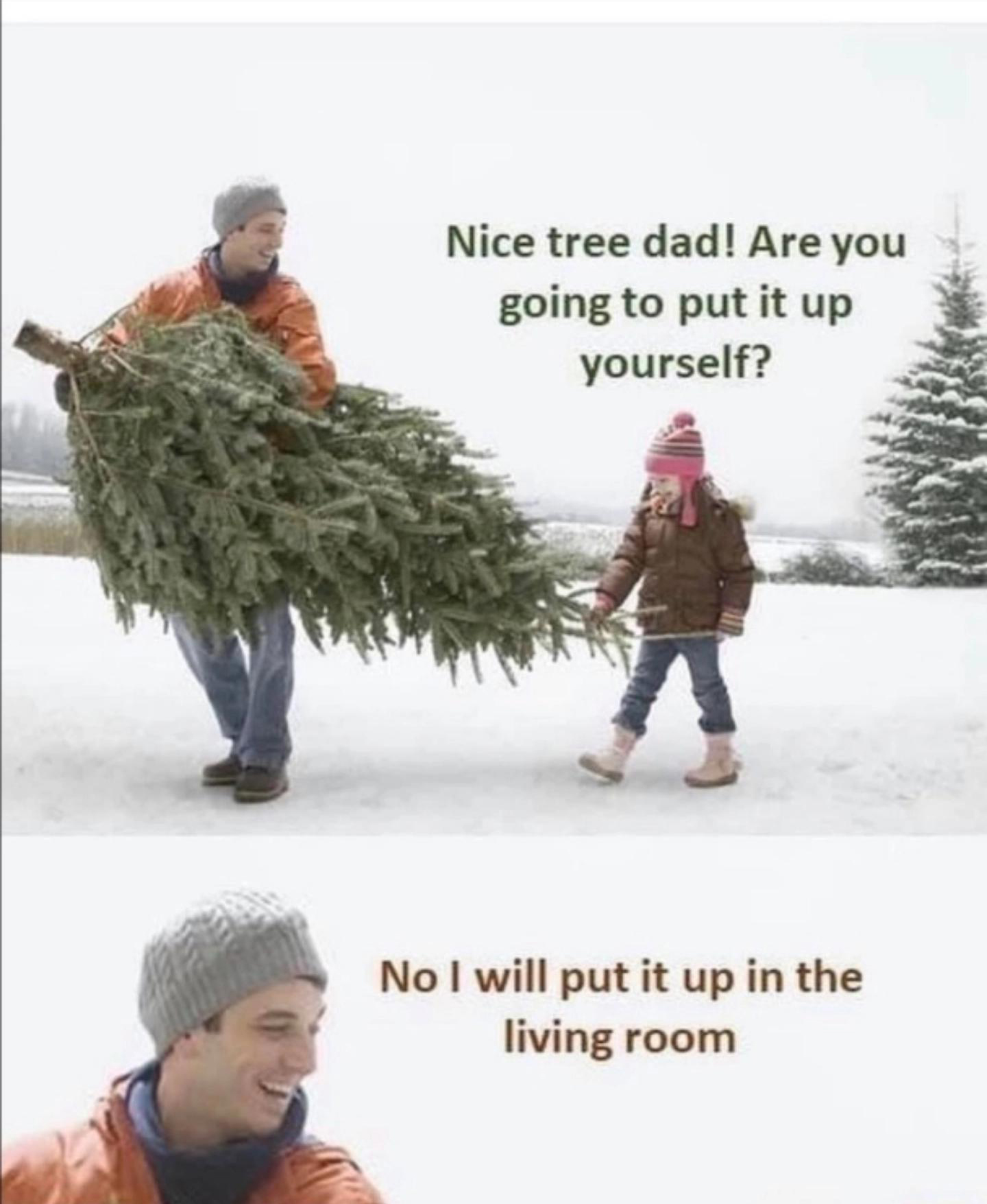 dank memes - funny memes - nice tree dad meme - Nice tree dad! Are you going to put it up yourself? No I will put it up in the living room