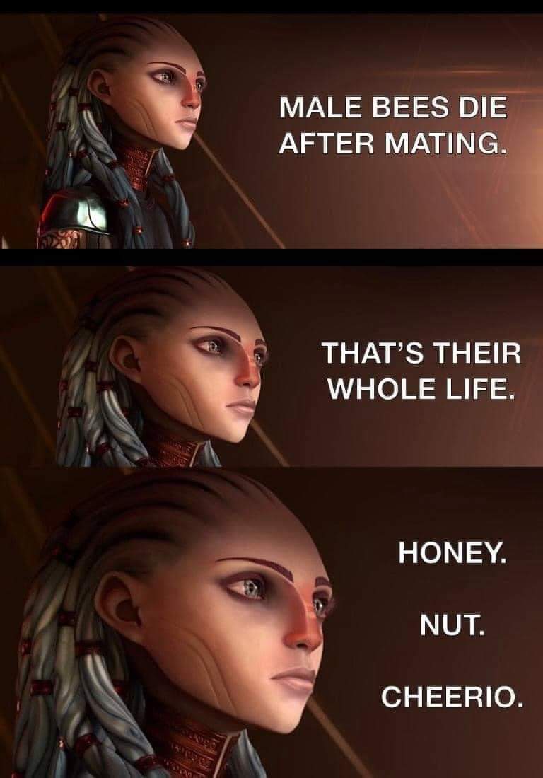 dank memes - funny memes - male bees die after mating honey nut cheerio - Male Bees Die After Mating. That'S Their Whole Life. Honey Nut. Cheerio.