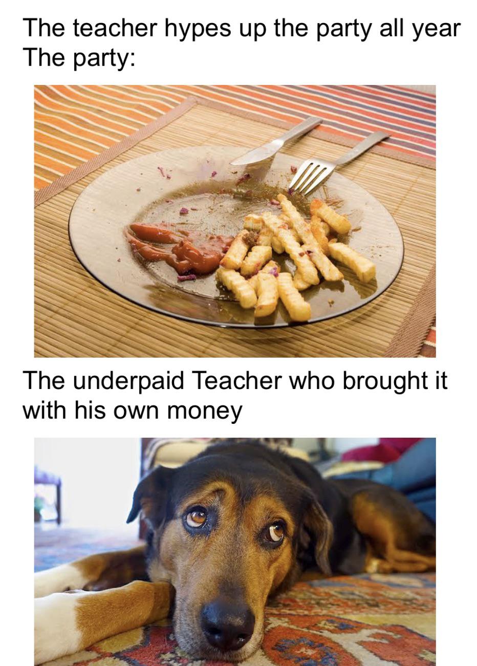 dank memes - funny memes - dog at home - The teacher hypes up the party all year The party The underpaid Teacher who brought it with his own money
