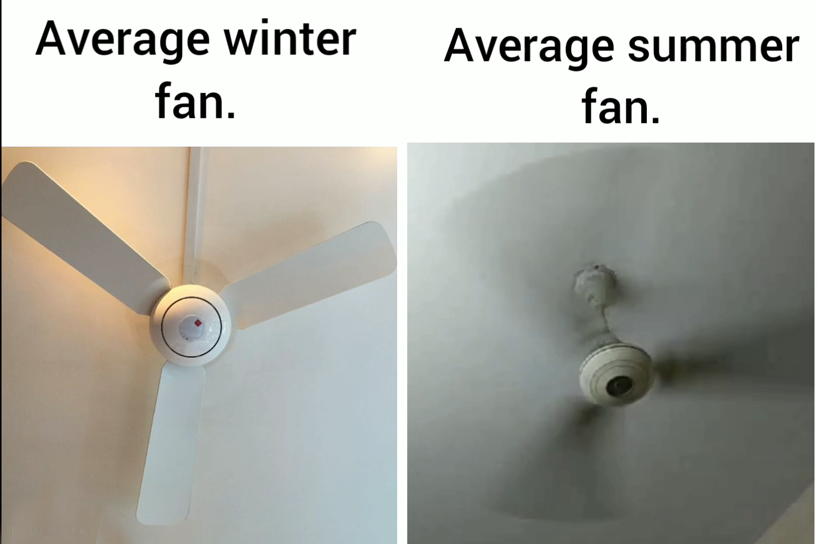 dank memes - funny memes - lighting - Average winter fan. Average summer fan.