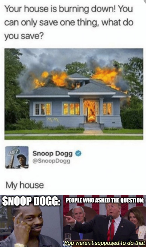 monday morning randomness - your house is burning down you can only save one thing what do you save - Your house is burning down! You can only save one thing, what do you save? Snoop Dogg Dogg My house Snoop Dogg People Who Asked The Question Wou weren't 