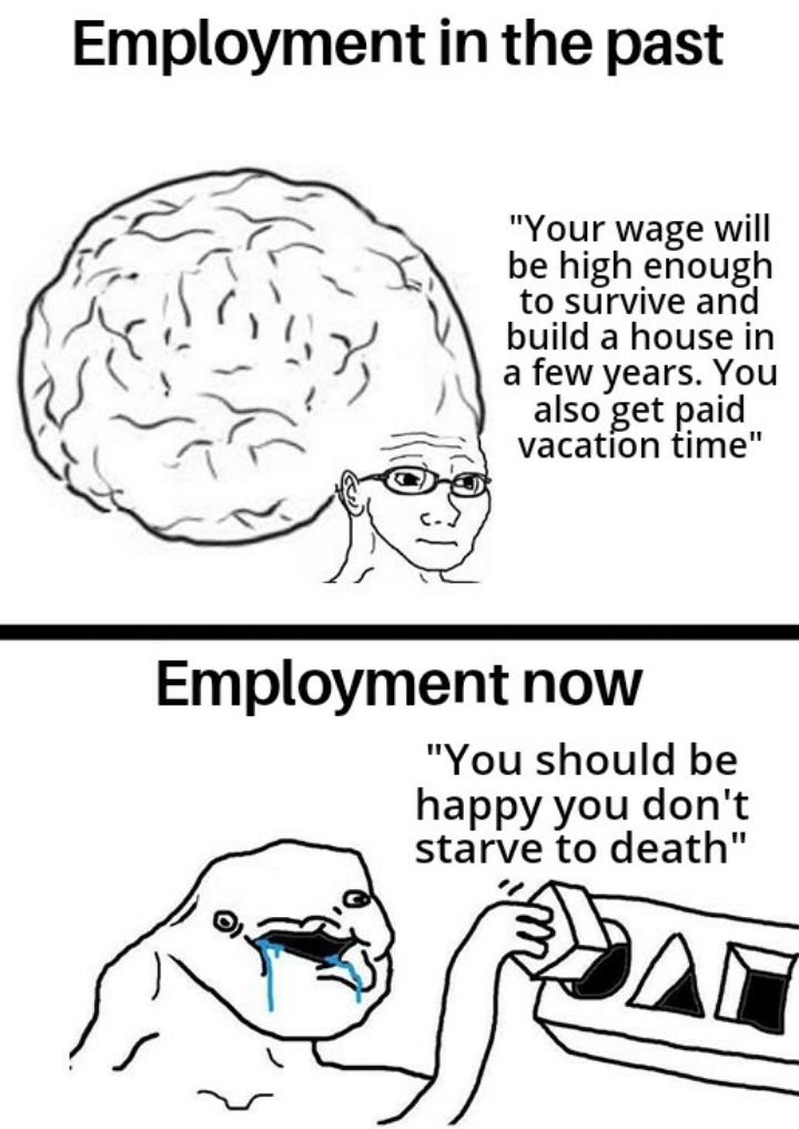 funny memes - dank memes - brainlet shapes - Employment in the past "Your wage will be high enough to survive and build a house in a few years. You also get paid vacation time" Employment now "You should be happy you don't starve to death" Al