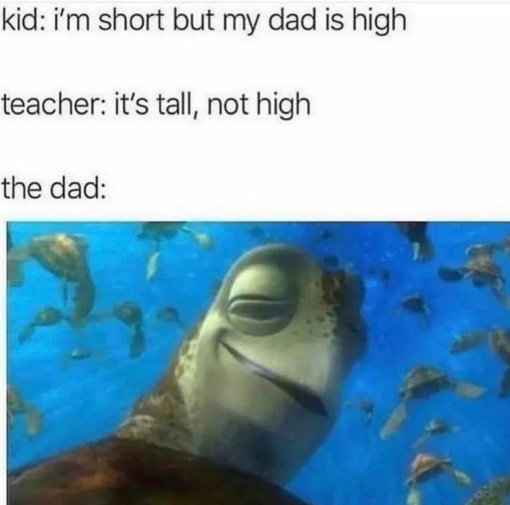 funny memes - dank memes - high turtle from finding nemo - kid i'm short but my dad is high teacher it's tall, not high the dad