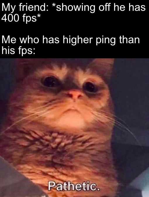 funny memes - dank memes - cat overlord meme - My friend showing off he has 400 fps Me who has higher ping than his fps Pathetic
