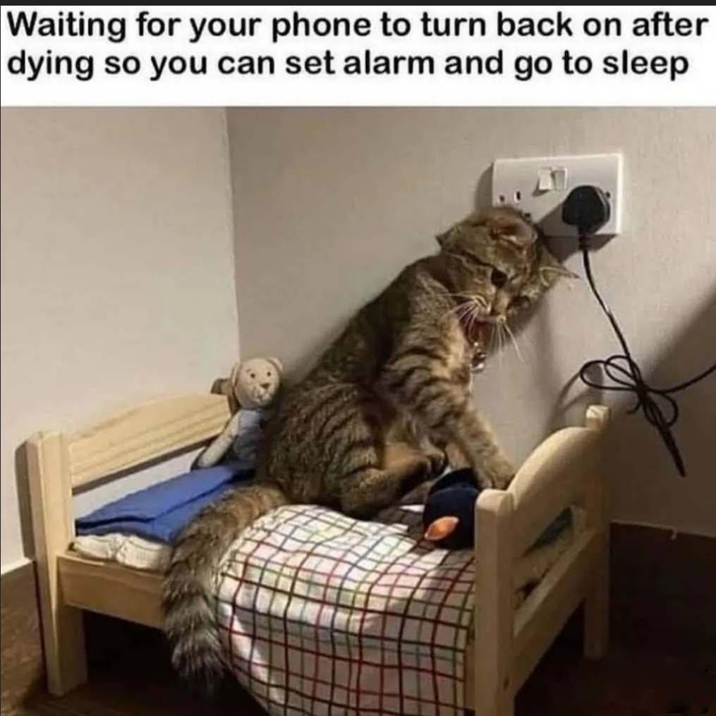 funny memes - dank memes - Waiting for your phone to turn back on after dying so you can set alarm and go to sleep