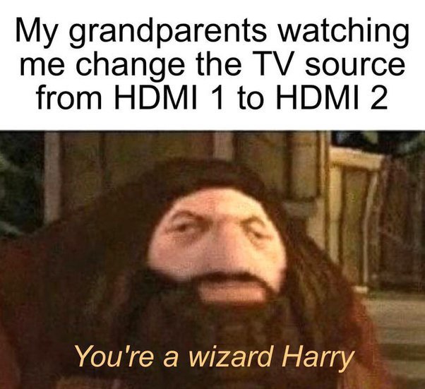 funny memes - dank memes - hagrid meme ps1 - My grandparents watching me change the Tv source from Hdmi 1 to Hdmi 2 You're a wizard Harry