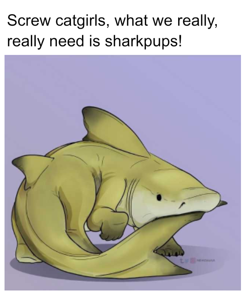 funny memes - dank memes - shark pups art - Screw catgirls, what we really, really need is sharkpups! t