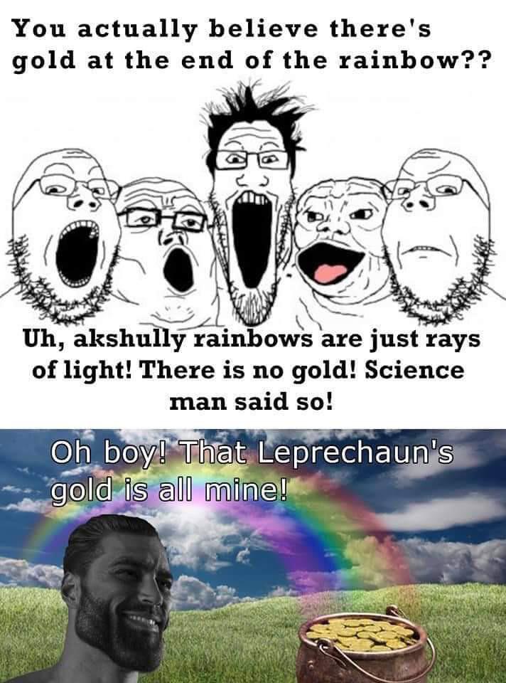 funny memes - dank memes - if seatbelts were introduced in 2021 - You actually believe there's gold at the end of the rainbow?? Uh, akshully rainbows are just rays of light! There is no gold! Science man said so! Oh boy! That Leprechaun's gold is all mine
