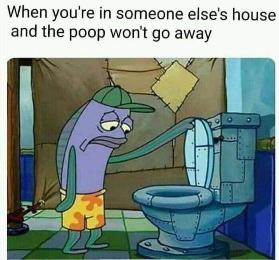 funny memes - dank memes - you at someone's crib and the dookie won t flush - When you're in someone else's house and the poop won't go away