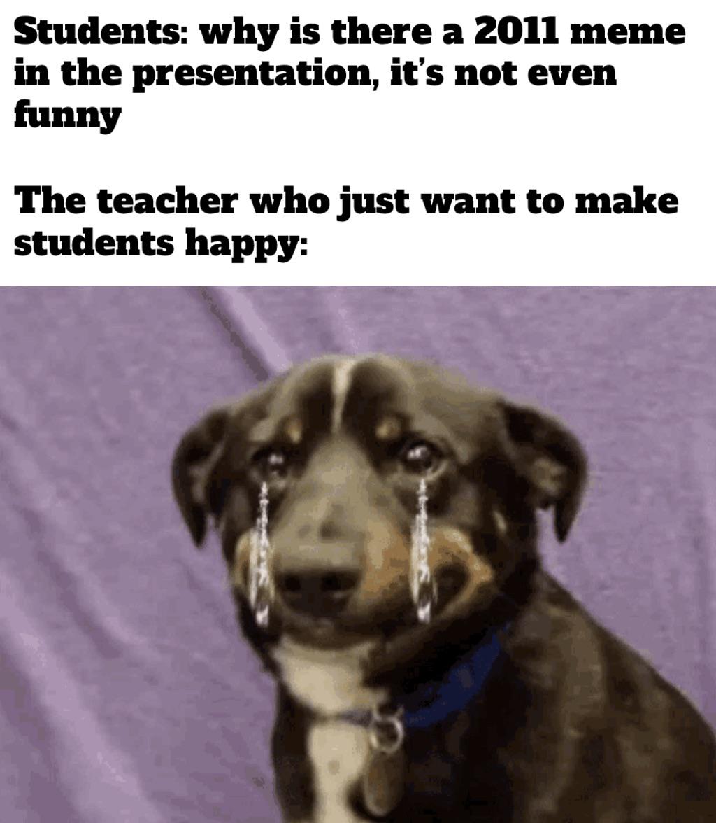 dank memes and funny pics - gif perro llorando - Students why is there a 2011 meme in the presentation, it's not even funny The teacher who just want to make students happy
