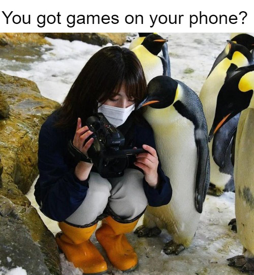 dank memes and funny pics - king penguin - You got games on your phone?