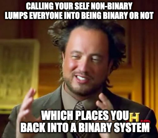 funny memes - dank memes - bucuresti meme - Calling Your Self NonBinary Lumps Everyone Into Being Binary Or Not Which Places Youh Back Into A Binary System
