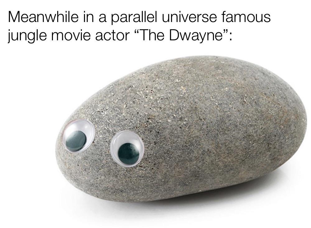 funny memes - dank memes - pebble - Meanwhile in a parallel universe famous jungle movie actor The Dwayne