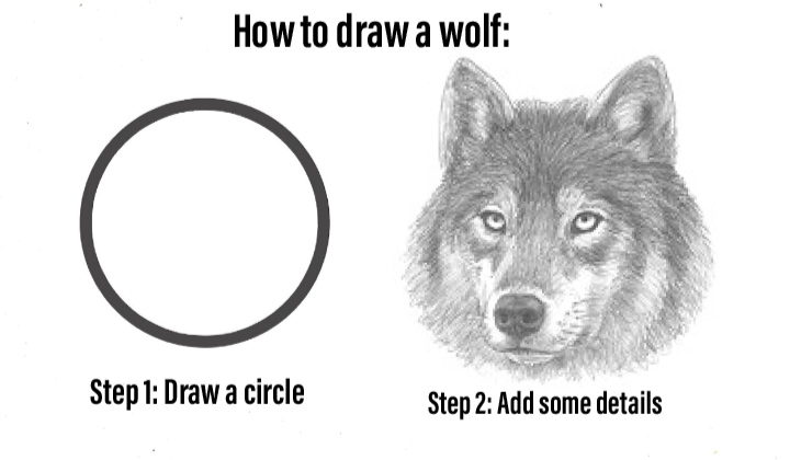funny memes - dank memes - how2drawanimals wolf - How to draw a wolf o Step 1 Draw a circle Step 2 Add some details