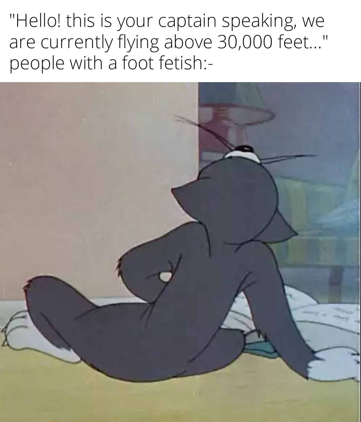 funny memes - dank memes - tom cat jerking - "Hello! this is your captain speaking, we are currently flying above 30,000 feet..." people with a foot fetish