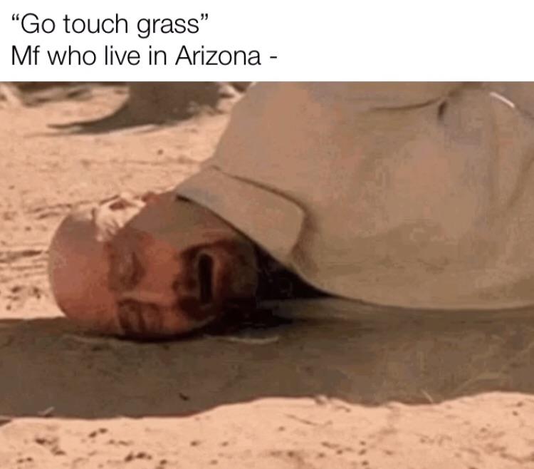 funny memes - dank memes - ozymandias breaking bad - Go touch grass Mf who live in Arizona