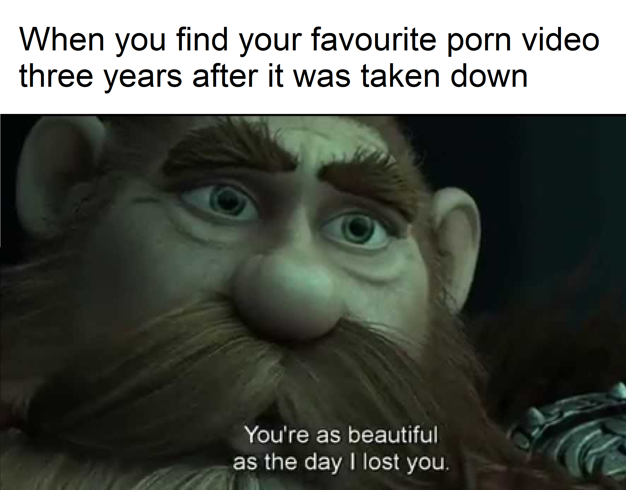 funny memes - dank memes - you re as beautiful as the day - When you find your favourite porn video three years after it was taken down You're as beautiful as the day I lost you.