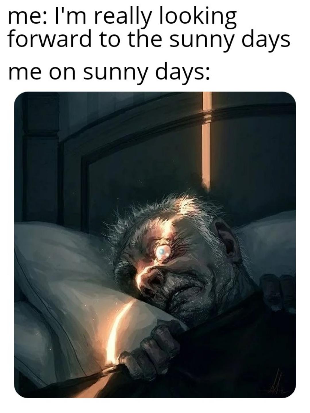 dank memes - funny memes - tell tale heart art - me I'm really looking forward to the sunny days me on sunny days