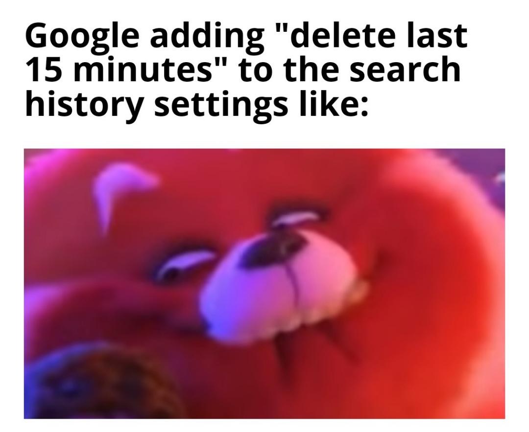 dank memes - shapes for kids - Google adding "delete last 15 minutes" to the search history settings