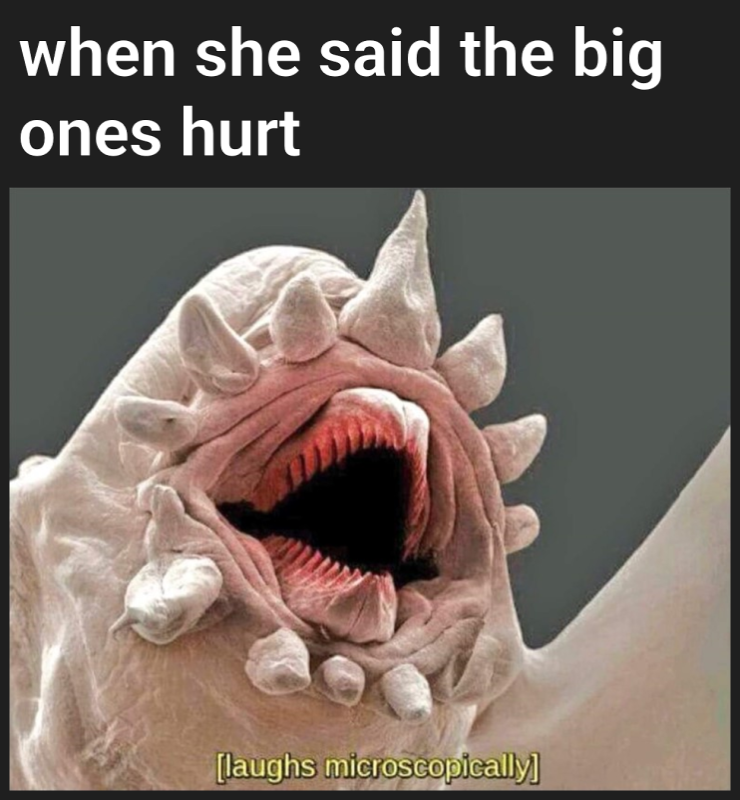 dank memes - short people memes - when she said the big ones hurt laughs microscopically