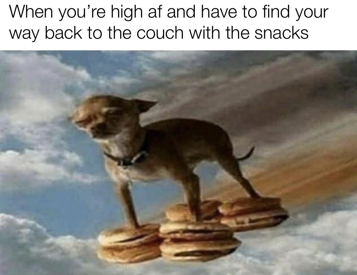 dank memes - funny memes - real or fake - When you're high af and have to find your way back to the couch with the snacks