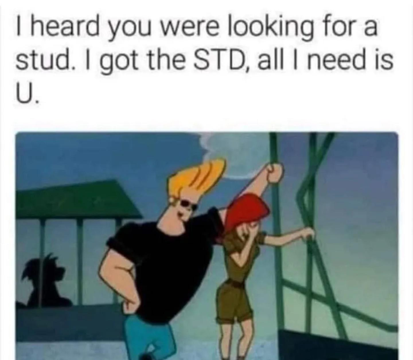 funny memes - johnny bravo girl - I heard you were looking for a stud. I got the Std, all I need is U.
