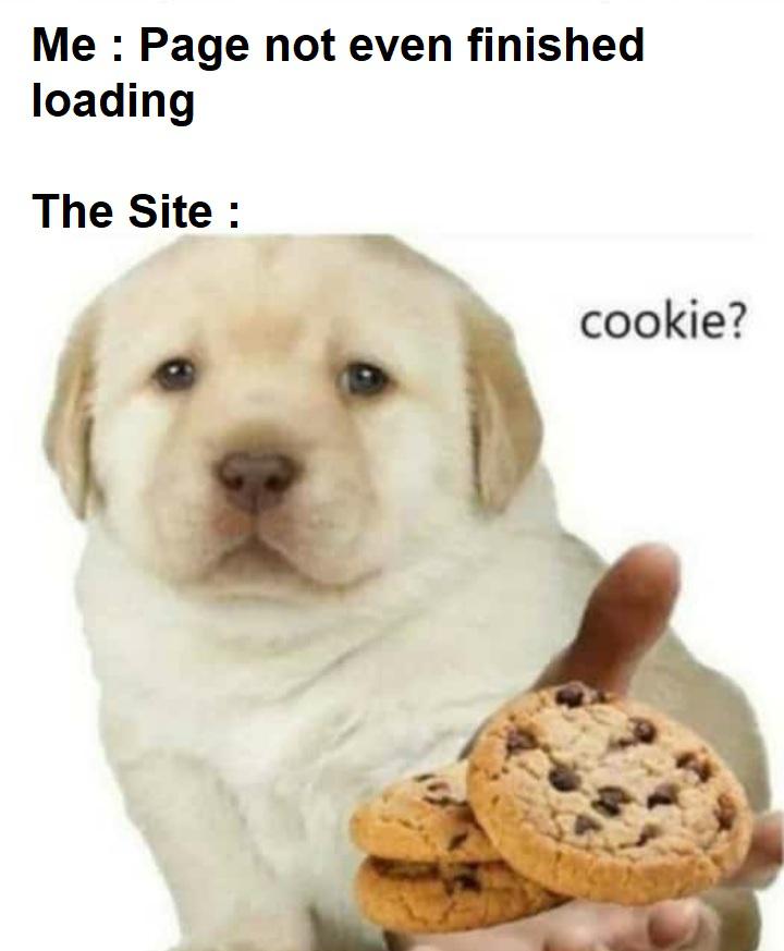 dank memes - funny memes - puppy stock - Me Page not even finished loading The Site cookie?