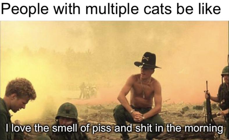 dank memes - funny memes - love the smell of napalm - People with multiple cats be I love the smell of piss and shit in the morning