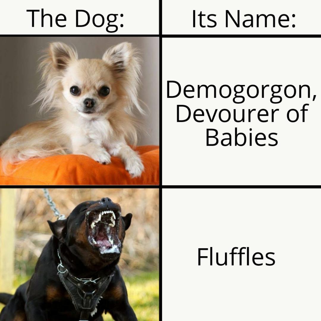 dank memes - funny memes - Dog - The Dog Its Name Demogorgon, Devourer of Babies Fluffles