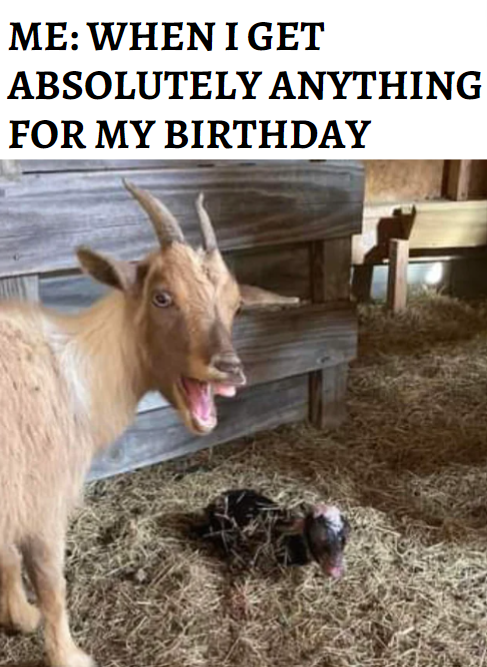 dank memes - goat - Me When I Get Absolutely Anything For My Birthday