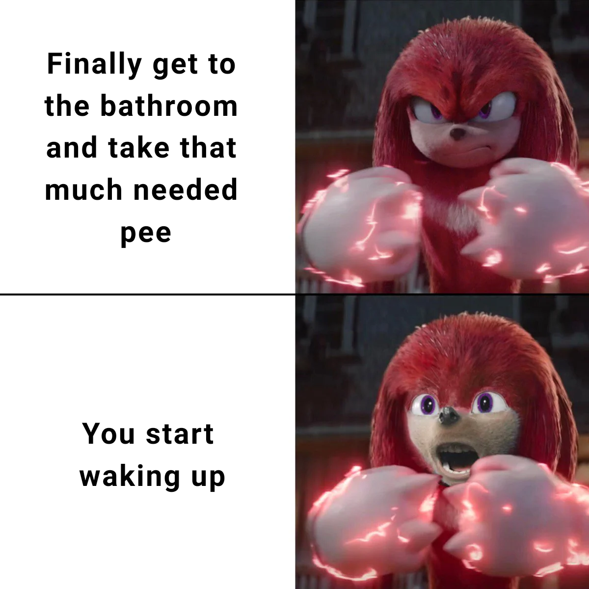 dank memes - knuckles sonic movie - Finally get to the bathroom and take that much needed pee You start waking up