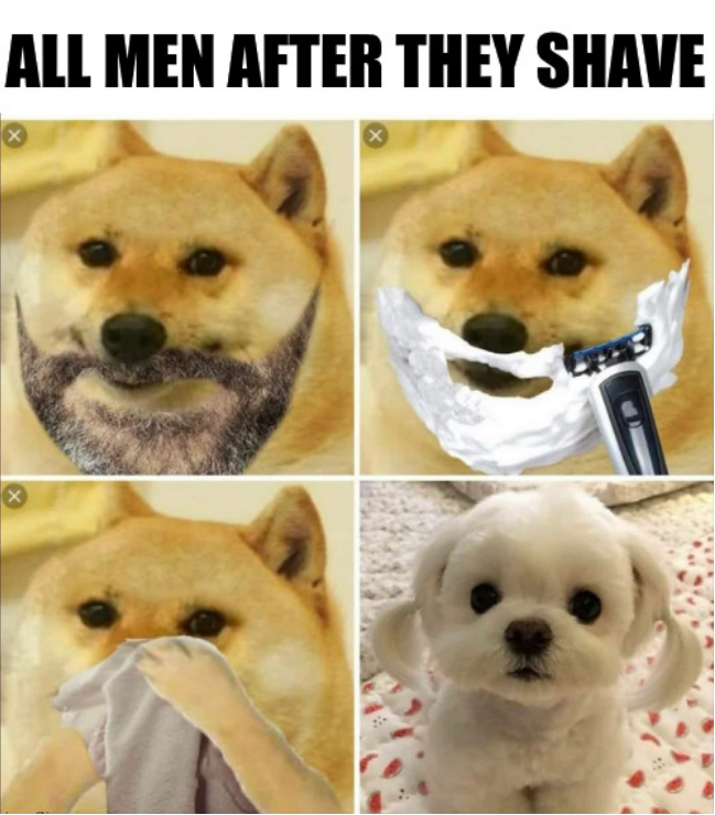 dank memes - funny boys whatsapp photo meme - All Men After They Shave