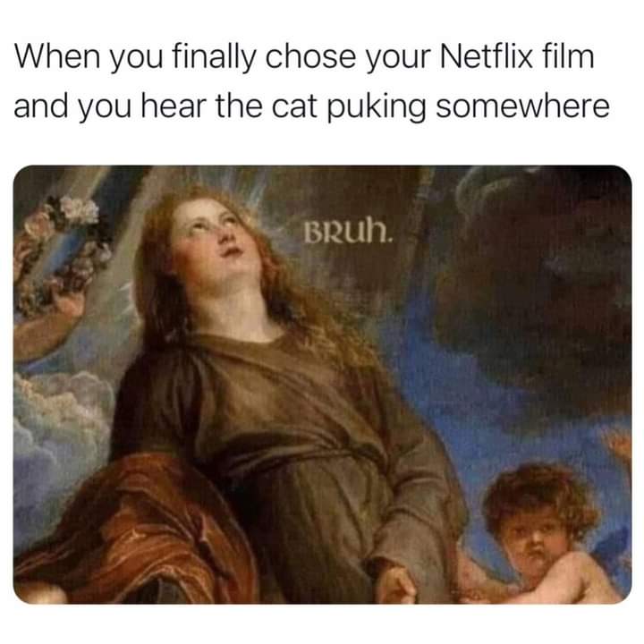 dank memes - saint rosalie interceding for the plague-stricken - When you finally chose your Netflix film and you hear the cat puking somewhere Bruh. $$