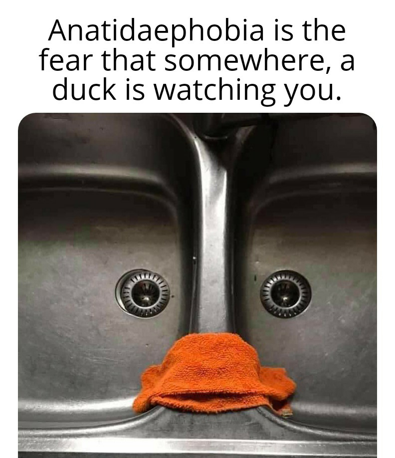 dank memes - Joker - Anatidaephobia is the fear that somewhere, a duck is watching you.