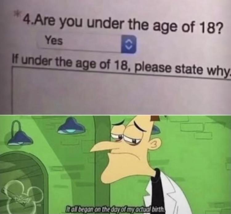 dank memes - all began on the day of my actual birth - 4.Are you under the age of 18? Yes If under the age of 18, please state why. It all began on the day of my actual birth.