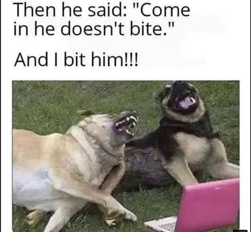 funny memes - dank memes - then he said come in he doesnt bite and i bit him - Then he said