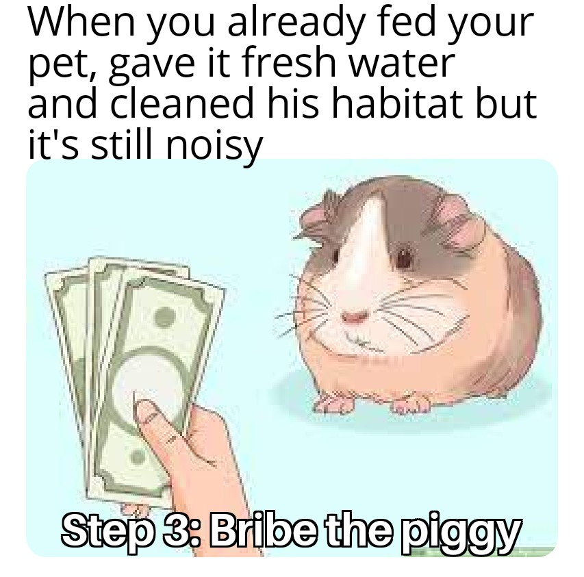 funny memes - dank memes - wikihow guinea pig - When you already fed your pet, gave it fresh water and cleaned his habitat but it's still noisy Step 3. Bribe the piggy
