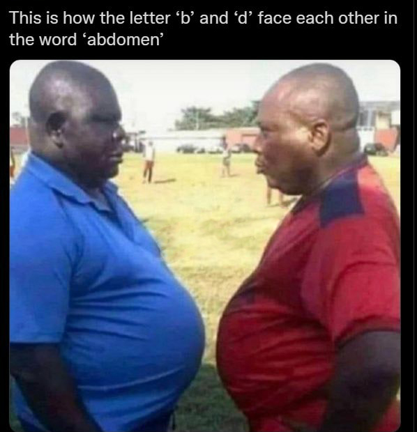 funny memes - dank memes - letter b and d face each other - This is how the letter 'b' and 'd' face each other in the word 'abdomen'